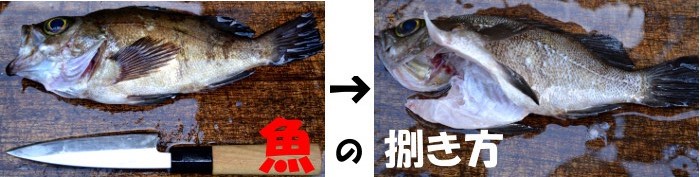 魚の捌き方