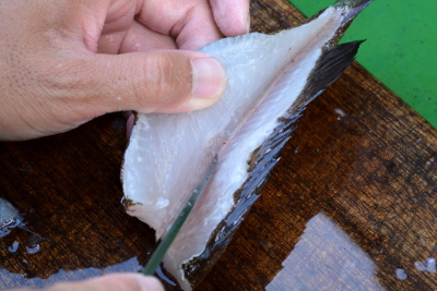 釣った魚の捌き方・三枚おろし編５
