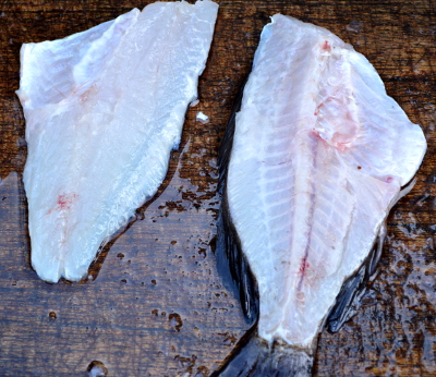 釣った魚の捌き方・三枚おろし編１０