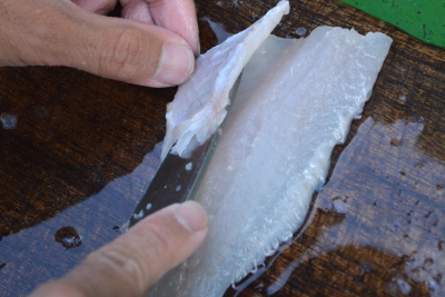 釣った魚の捌き方・三枚おろし編１１