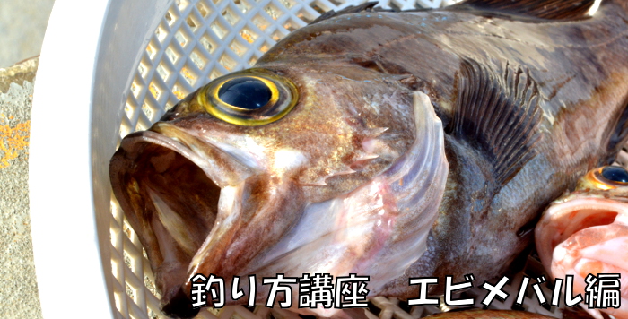 釣り方講座　～エビメバル編～