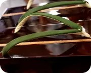 胡麻竹ライン張り真角にタピール高原花緒　花緒