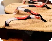 横黒表付大日光に蛇の目傘柄花緒　花緒