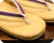 南部表草履にホースヘアー花緒　前壷