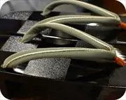 市松相千両に罠丸一本どっこ花緒　花緒