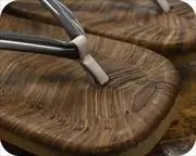 烏表付大日光にエナメル一本どっこ花緒　前壷