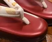 艶消し草履に名物裂福林花緒　前壷