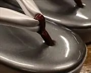 EVA草履にエナメル夫婦花緒　前壷
