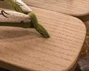 夏色大下方に隈取柄福林花緒　前壷