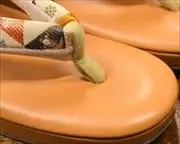 艶消し草履に名物裂福林花緒　前壷