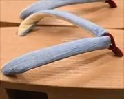 大千両に本麻花緒　花緒