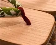 大右近に寄せ柄花緒　前壷