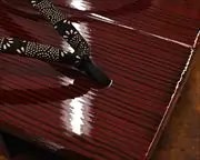 糸春真角に爪唐草柄印伝花緒　前壷
