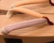 相千両に仕立て花緒　花緒