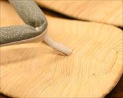 南部表雪駄に青海波柄印伝花緒　前壷