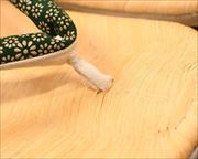 南部表上草履に菊柄印伝花緒　前壷