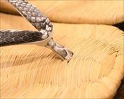 南部表雪駄にニシキヘビ革花緒　前壷