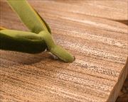 胡麻竹大角に編み三石花緒　前壷