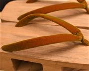 後穴芳町に玉虫色本天花緒　花緒