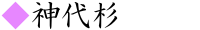 神代杉