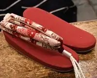 赤帆布草履に寄せ柄花緒