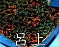 呂上・津軽塗大千両