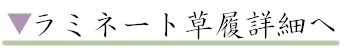 ラミネート合皮草履詳細へ